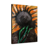 Sunflower Jay Canvas Gallery Wraps